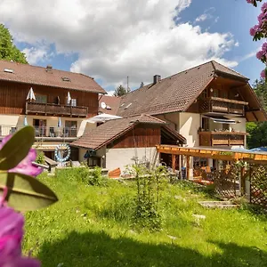 Maison d'hôtes Zur Triftsperre, Passau